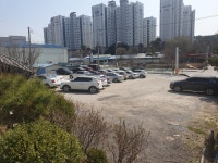 퇴골오리 만천점