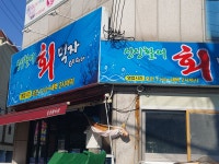 싱싱활어회