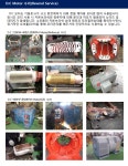 대영중전기
