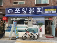 포항물회