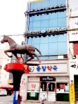 중앙연합정형외과의원