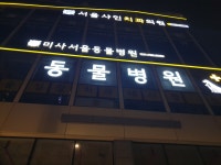 미사서울동물병원