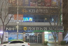 KB손해보험 반야월영업소