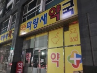 다인파랑새약국