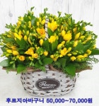 중앙플라워