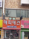 해피애견
