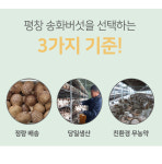 송화버섯별이네