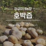 장금이네농장