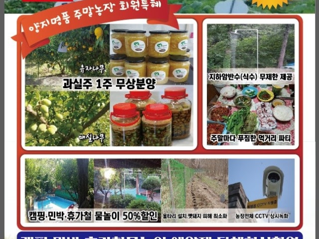 양지가든