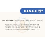 SOON, 순반려견교육기관&애견교육유치원&강아지훈련