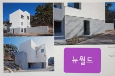 뉴월드