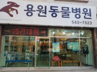 용원동물병원
