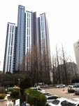 미래부동산중개