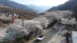 늘봄식당