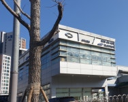 르노코리아자동차지정정비코너 대연점