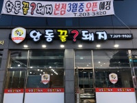 안동꿀돼지