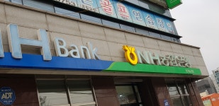 NH농협은행 장기동지점
