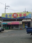 울진회물회