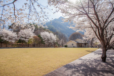 솔뫼펜션
