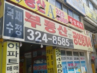 국제수정부동산