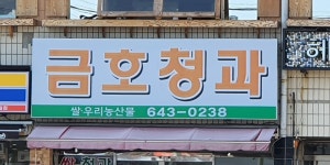 금호청과