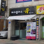 다올프로헤어