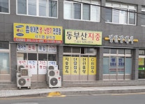 대성전자