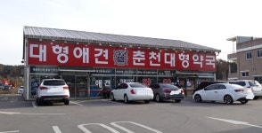 춘천대형약국
