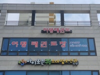 여명태권도장