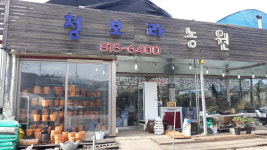 청보라농원