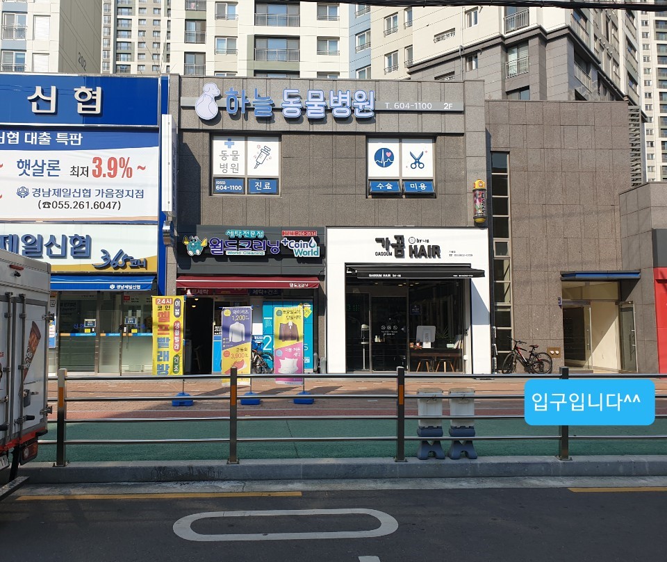 하늘동물병원