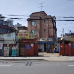 개미자원