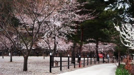 삼척엘림캠핑장