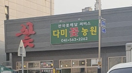 다미꽃농원
