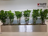 이디에프