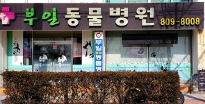 부일동물병원