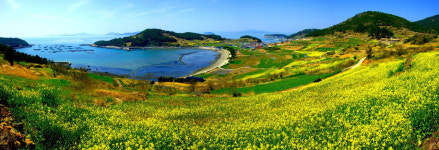 청산도 돌탑민박