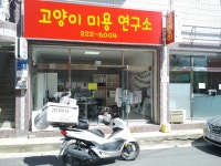 고양이미용연구소