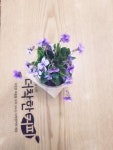 더착한커피 원미구청점