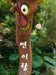 연이랑 수련연꽃 치유농장