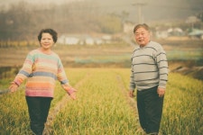 나눔농장