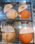 로띠번 가야점