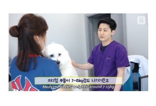 원흥동물의료센터