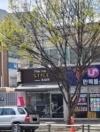 더 스타일 헤어샵