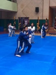 용인대명인태권도