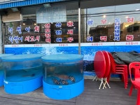 막썰어세꼬시회 안양박달점
