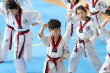 아리랑 멋 타리 태권도장
