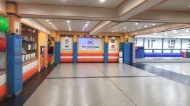 용인대명인태권도