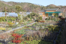 두륜산야생화농장