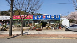 동부꽃화분백화점